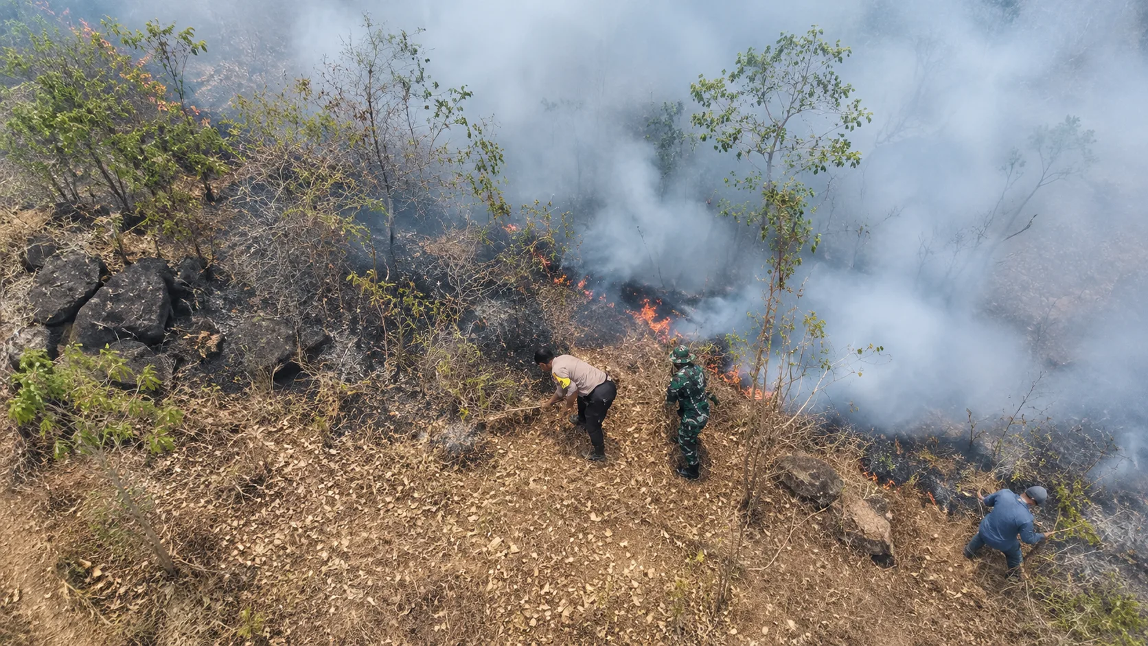 Aksi Sigap TNI Padamkan Kebakaran Hutan Gunung Sadranan Ponorogo