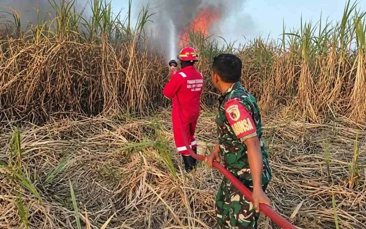 Babinsa Padamkan Kebakaran Lahan Tebu di Madiun