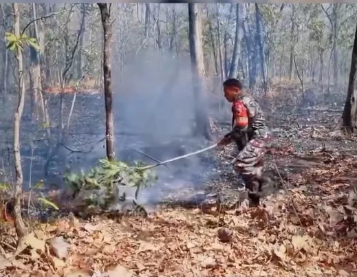 Kodam V/Brawijaya Gerak Cepat Tangani Karhutla di Taman Nasional Baluran