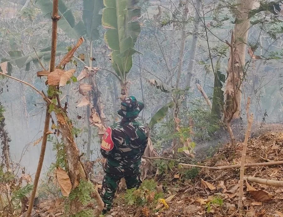 Kebakaran Hutan di Pacitan: Babinsa Padamkan Action dan Warga Sigap Tangani Titik Api