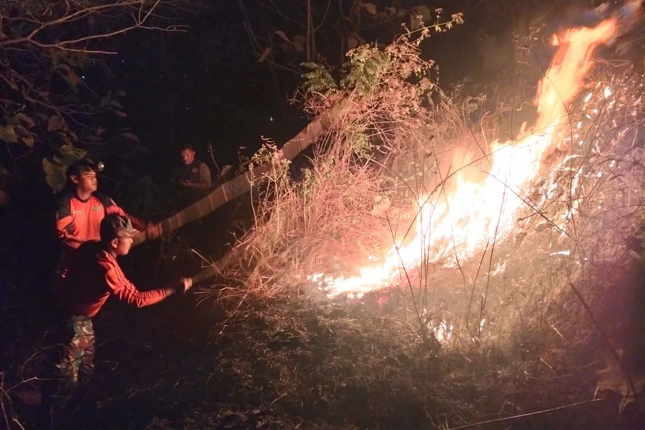 Tim Gabungan TNI-Polri Sigap Padamkan Kebakaran Hutan Seluas 3,5 Hektare di Trenggalek Jawa Timur