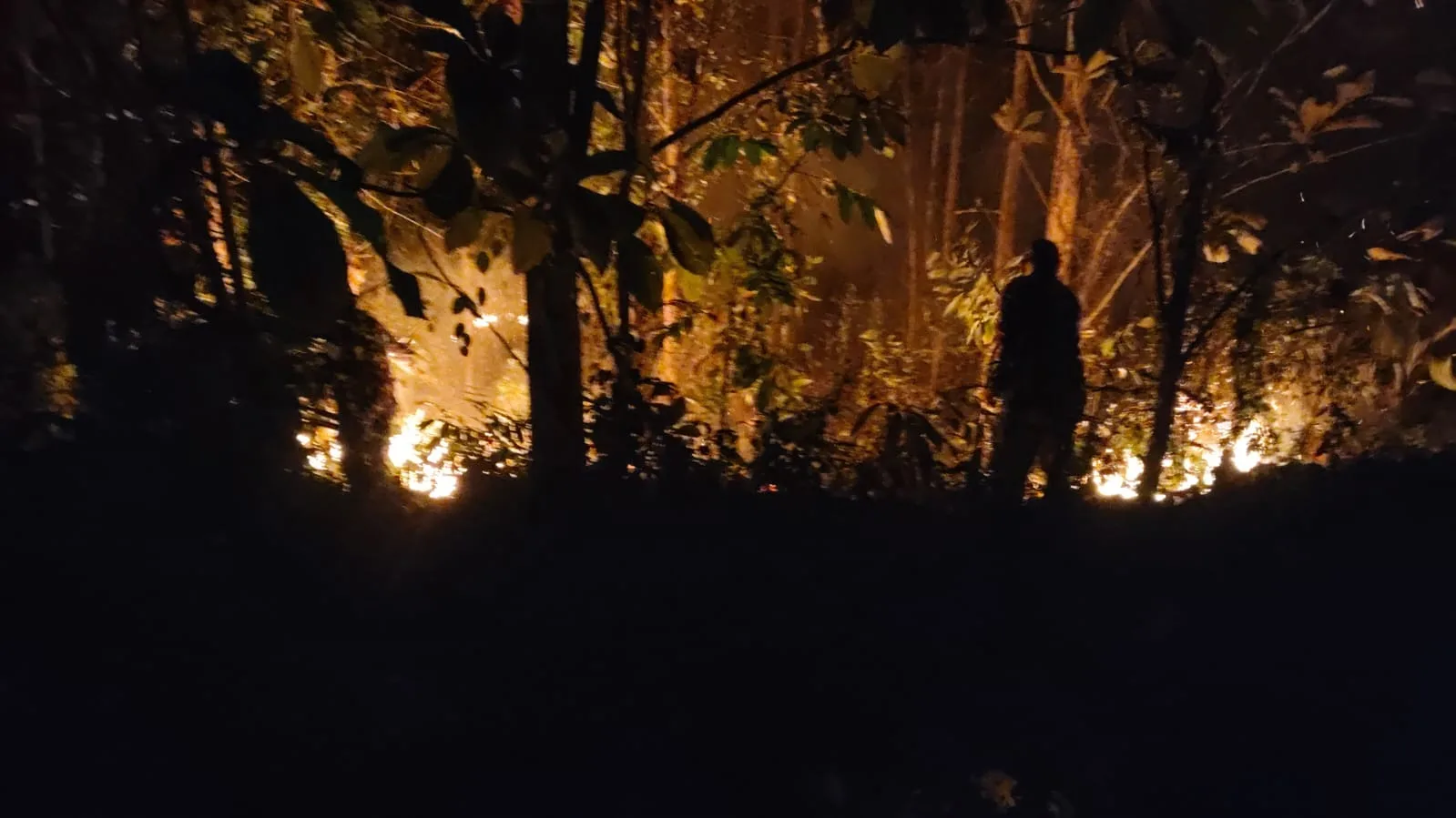 Respons Cepat TNI Tangani Karhutla di Tahura Mojokerto, Api Berhasil Dipadamkan