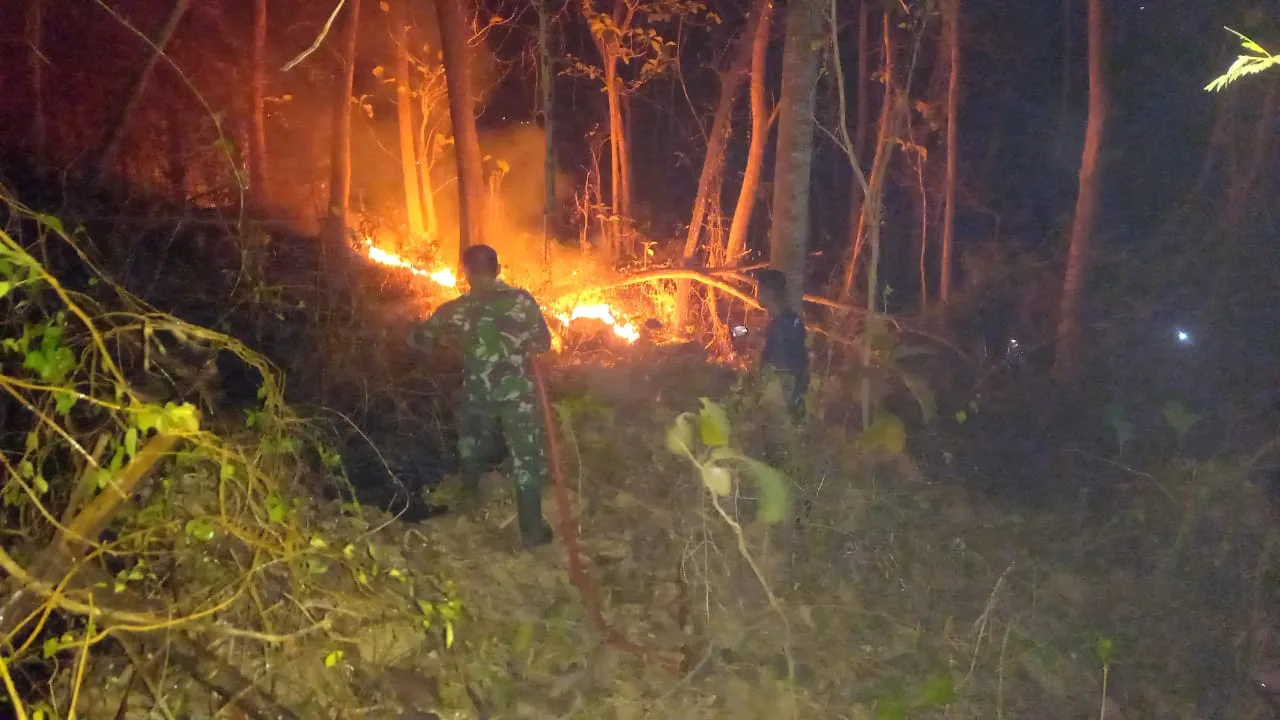 Kebakaran Lahan Tulungagung Berhasil Dipadamkan, Babinsa dan Unsur Gabungan Bergerak Cepat