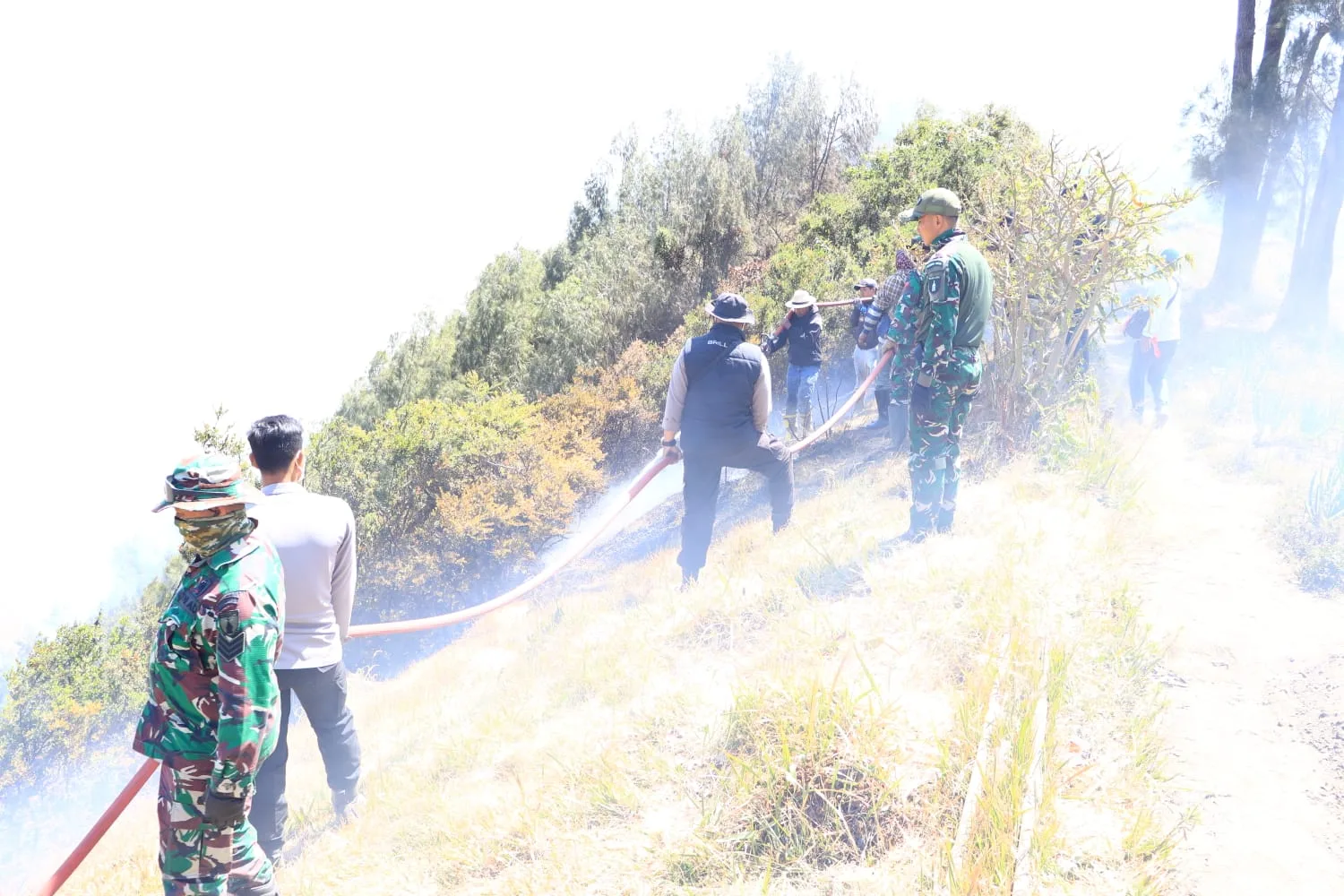 Jaga Kelestarian Bromo, Dandim 0820/Probolinggo Turun Langsung Atasi Karhutla