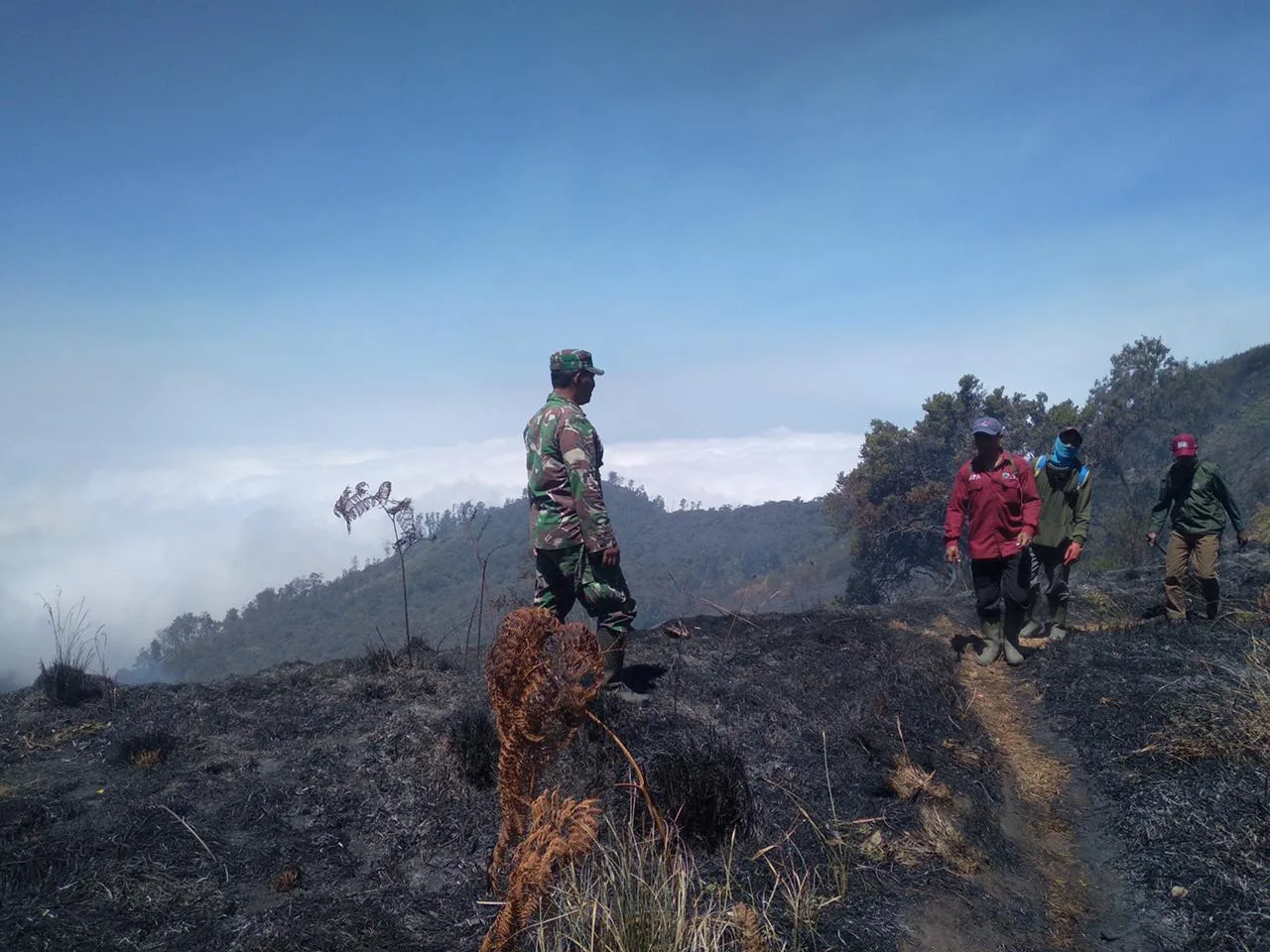 Tembus Medan Berat, Babinsa Lumajang Pastikan Argosari Bebas Karhutla
