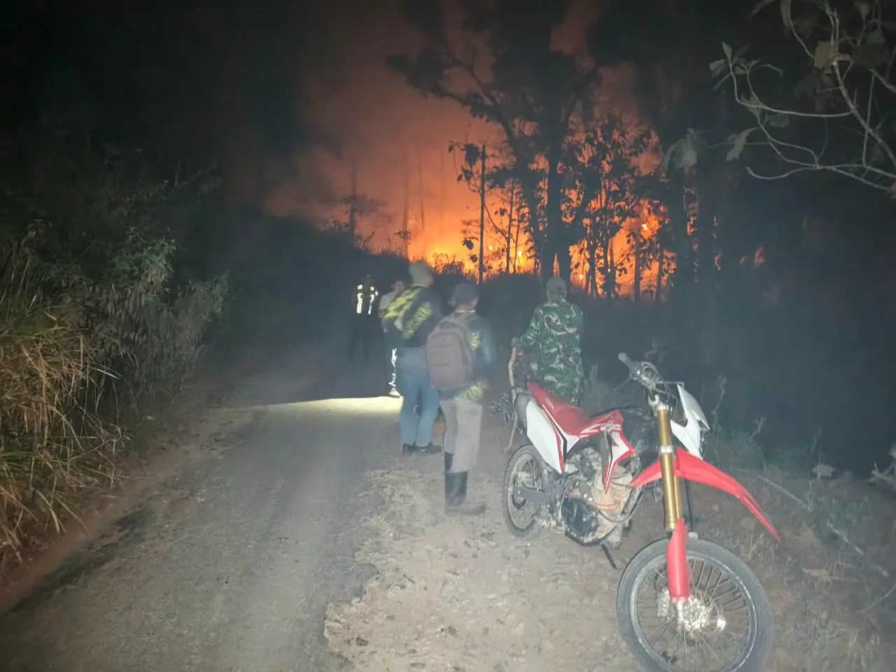 Pertaruhan Prajurit TNI Menembus Kepungan Api Kebakaran Hutan Ponorogo