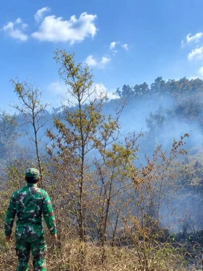 Karhutla TNBTS Lumajang Padam, Babinsa Terus Lakukan Pemantauan