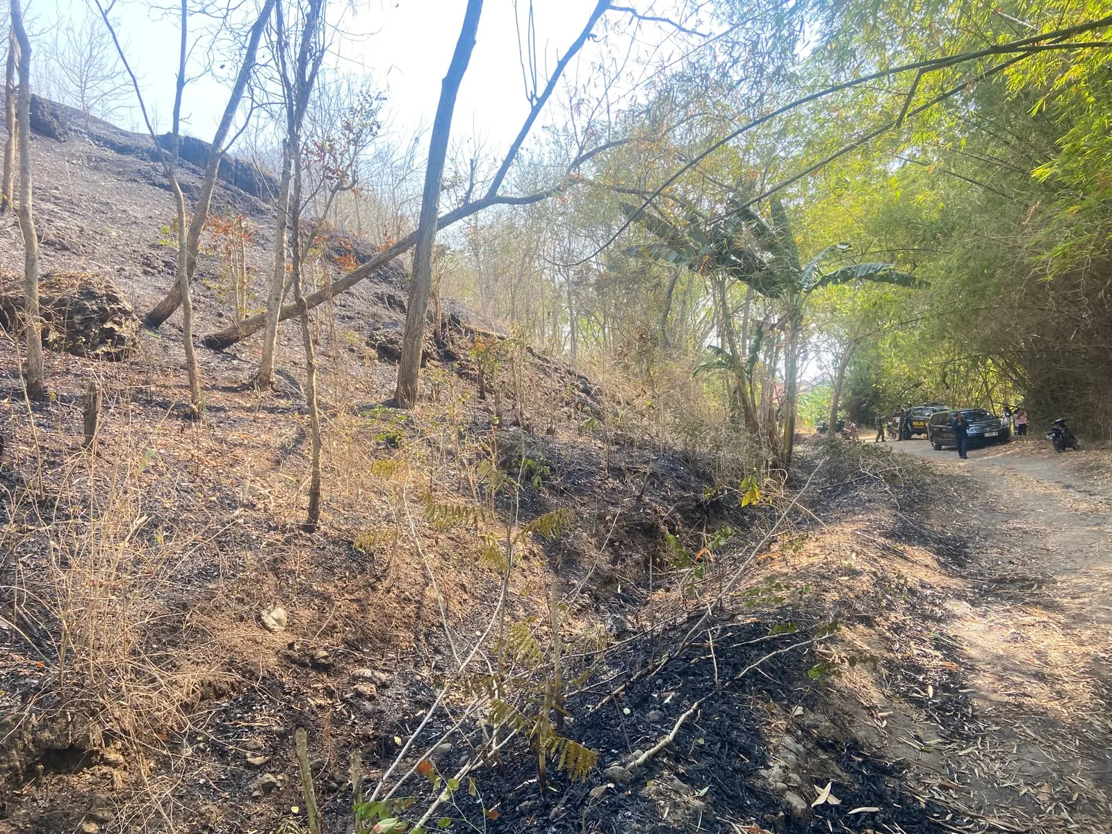 TNI-Polri Padamkan Kebakaran Lahan Perhutani di Boyolangu