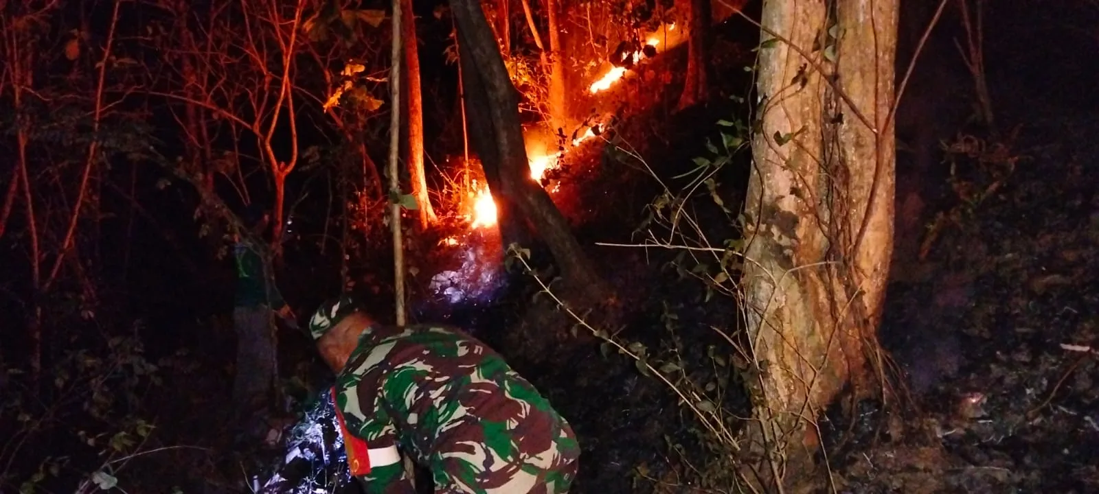 Jaga Hutan Blitar, Babinsa dan Warga Bergerak Cepat Jinakkan Api